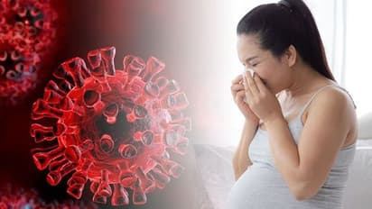 ಮುಂಬೈನಿಂದ ತವರಿಗೆ ಬಂದ 8 ತಿಂಗಳ ಗರ್ಭಿಣಿಗೆ ಕೊರೋನಾ ಸೋಂಕು