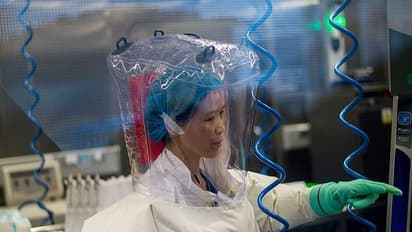 ಇದು ಸಣ್ಣ ತುಣುಕು, ಕೊರೋನಾದಿಂದ ದೊಡ್ಡ ಅಪಾಯವಿದೆ: 'ಬಾವಲಿ ಮಹಿಳೆ’ಯ ಎಚ್ಚರಿಕೆ