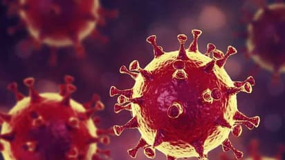 ప్రపంచ వ్యాప్తంగా.. 2లక్షల మరణాలకు చేరువలో కరోనా మృతులు