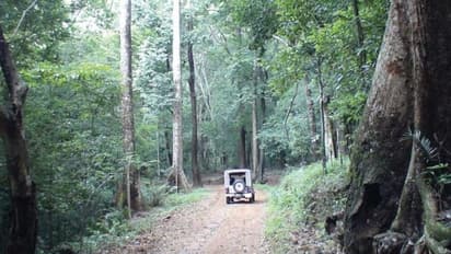 തെങ്കാശിയിലും തിരുനല്വേലിയിലും കൊവിഡ്; കേരള അതിർത്തിയിലെ വനമേഖലയിൽ നിരീക്ഷണം കർശനമാക്കി
