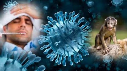 ಮಲೆನಾಡಲ್ಲಿ ಮತ್ತೆ ಮಂಗನಕಾಯಿಲೆ ಪತ್ತೆ: ಆರೋಗ್ಯ ಇಲಾಖೆಯಿಂದ ಹೈ ಅಲರ್ಟ್