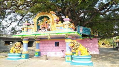 ನೂರಾರು ಜನರ ಬಲಿ ಪಡೆದ ಮಹಾಮಾರಿ: ತಿಪಟೂರಿನಲ್ಲಿದೆ ಪ್ಲೇಗಮ್ಮ ದೇವಸ್ಥಾನ..!