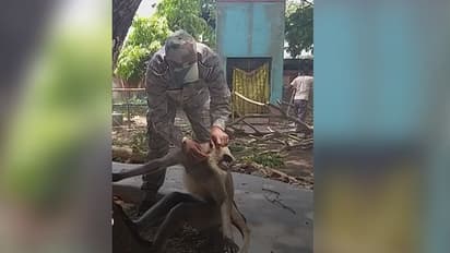 লকডাউনে শুনসান আদালত চত্বর, আহত হনুমানের ত্রাতা পুলিশকর্মীরা