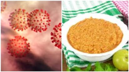 கொரோனா பயமா? பலம் சேர்க்கும் "நெல்லிக்காய் துவையல்"...!