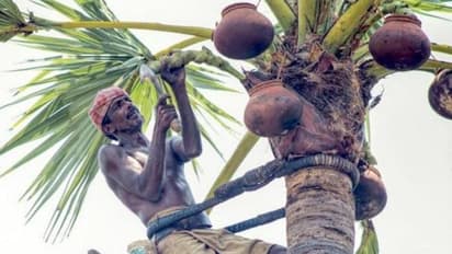 లాక్డౌన్ ఎఫెక్ట్: మద్యం లేక కల్లుకు డిమాండ్... తాటి వనాల్లో రష్