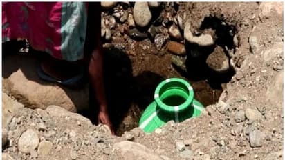 പദ്ധതികള്‍ പലതുണ്ട്, കുടിക്കാന്‍ തുള്ളിവെള്ളമില്ല; അട്ടപ്പാടിയിലെ സ്വർണ്ണഗദ്ദ ഊര് നിവാസികള്‍ ദുരിതത്തില്‍