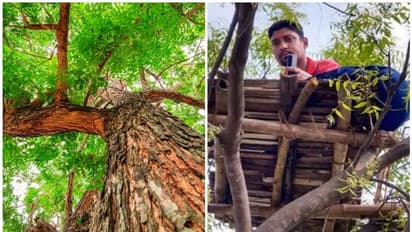 നെറ്റ് വര്ക്ക് പണി തന്നു; ഓണ്ലൈന് ക്ലാസ് എടുക്കാന് മരത്തില് കയറി അധ്യാപകന്