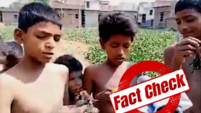 লকডাউনে বিহারে ব্যাঙ-পোড়া খাচ্ছে শিশুরা, ভাইরাল ভিডিও-র পিছনে লুকিয়ে কোন সত্যি