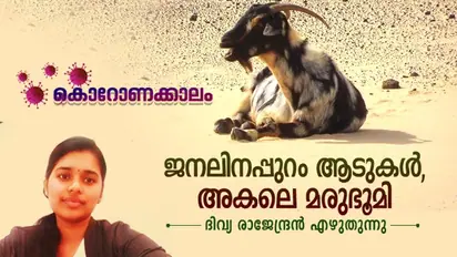 കൂട്ടിനുള്ളിലെ മനുഷ്യരെ നോക്കി ചിരിക്കുന്ന ആടുകള്‍