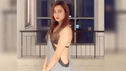 শিফন শাড়িতে তন্বীর ঠুমকা, মুগ্ধ নেটদুনিয়া