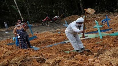 తాత చనిపోయాడని సమాధి తవ్వుతూ...