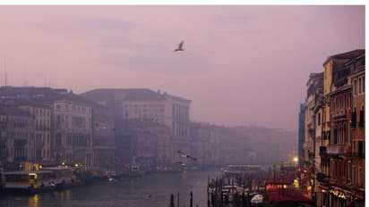 ലോക്ഡൗണിനിടെ ഇന്ന് ലോക ഭൗമദിനം