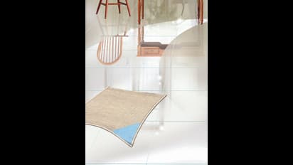 Are you using the right tools, methods to keep your home safe and hygienic?