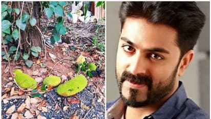 ഒരു പൂവ് ചോദിച്ചാല് പ്രകൃതി ഒരു പൂക്കാലം തരും!; പുതിയ ജീവിത തത്വമെന്ന് ജിപി