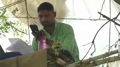 লকডাউনের বাজারে ভরসা গাছ, 'ওয়ার্ক ফ্রম ট্রি' করছেন বাঁকুড়ার যুবক