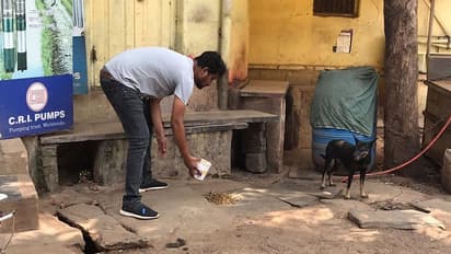 ಲಾಕ್‌ಡೌನ್‌ ಎಫೆಕ್ಟ್‌: ಆಹಾರ ಸಿಗದೆ ಶ್ವಾನಗಳ ಪರದಾಟ, ಪ್ರಾಣಿಗಳ ಹಸಿವು ನೀಗಿಸುವ ಯುವಕನಿಗೊಂದು ಸಲಾಂ..!