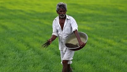 PM ಮನ್‌ಧನ್ ಯೋಜನೆ ಮೂಲಕ ರೈತರು ನಿವೃತ್ತಿ ವೇತನ ಪಡೆಯುವುದು ಹೇಗೆ?