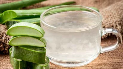 കറ്റാർവാഴ ജ്യൂസ് ശരീരഭാരം കുറയ്ക്കുമോ...?