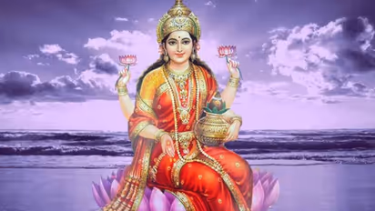 সর্বদা লক্ষ্মী দেবীর কৃপা বজায় রাখতে, এই কাজগুলো কখনই করবেন না