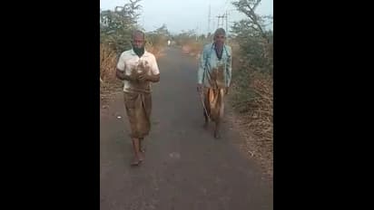 ಕೊರೋನಾ ನಿಗ್ರಹಕ್ಕಾಗಿ ದೇವತೆಗೆ ಮೊರೆ ಹೋದ ಗ್ರಾಮಸ್ಥರು: ತಾಯಿಗೆ ದೀರ್ಘದಂಡ ನಮಸ್ಕಾರ ಸೇವೆ