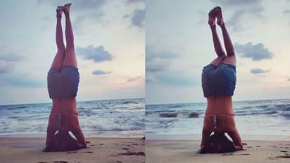 ശീര്ഷാസനം ചെയ്യുന്ന ചിത്രങ്ങള് ഇന്സ്റ്റഗ്രാമിലിട്ട് നടി അമല പോള്