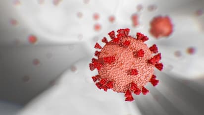 You can detect coronavirus in 5 seconds, thanks to this software