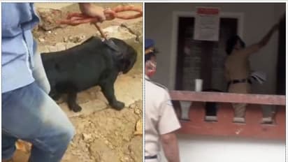 പാഴ്വസ്തു കത്തിക്കുന്നതിനിടെ സ്ഫോടനം; കോഴിക്കോട്ട് അച്ഛനും മകനും പരിക്കേറ്റു