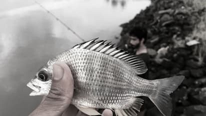 Kerala man chokes as live fish gets stuck in throat, gets it removed after an hour