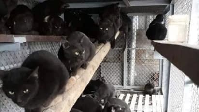 சீனாவுக்கு அடுத்து உலகை அதிரவைக்கும் வியட்னாம்..!! தலையில் அடித்து அலறும் உலக நாடுகள்..!!