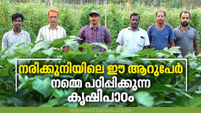 പച്ചക്കറികള് ഇവിടെ നിമിഷം കൊണ്ട് വിറ്റഴിയും; ഇത് ആറുപേര് നടത്തിയ കൃഷിയുടെ വിജയം