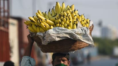 ಕೊರೋನಾ ಹಾವಳಿ ತಪ್ಪಿಸಲು ಬಂದಿವೆ ಬಣ್ಣ ಬಣ್ಣದ ಮಾಸ್ಕ್: ಇದೇ ಫ್ಯಾಷನ್ ಆಗುತ್ತಾ?