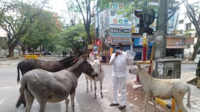 ಪ್ರತಿಭಟನೆಯಲ್ಲಿ ಮಾತ್ರವಲ್ಲ ಲಾಕ್‌ಡೌನ್‌ ಸಮಯದಲ್ಲೂ ವಾಟಾಳ್ ನಾಗರಾಜ್ ಪ್ರಾಣಿ ಪ್ರೇಮ