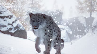 Risking his own life, how a 42-year old has rescued 47 snow leopards
