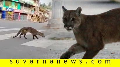 ಮನುಷ್ಯ ಮನೆಯಲ್ಲಿದ್ದರೆ ತಪ್ಪೆಲ್ಲವೂ ತೆಪ್ಪಗಾಗುತ್ತದೆ...