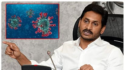 11వేల ఉద్యోగాల భర్తీకి నిర్ణయం... నిరుద్యోగులకు సీఎం జగన్ శుభవార్త
