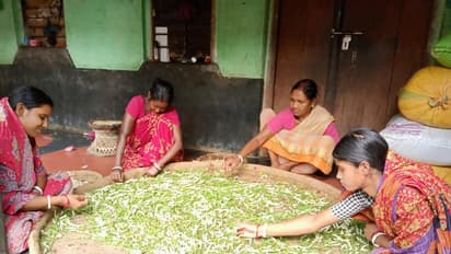 লকডাউনের জেরে ক্রেতাদের দেখা নেই, মাথায় হাত বীরভূমের রেশমগুটি শিল্পীদের