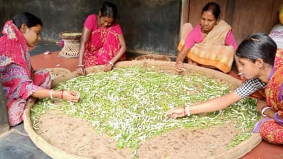 Karnataka Budget 2023: New sops for farmers, CM promotes GI tagged products