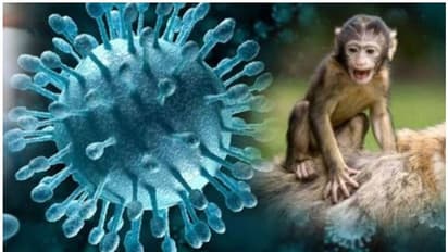 Monkey Fever: ಮಂಗನ ಕಾಯಿಲೆಗೆ ಸಿದ್ದಾಪುರ ಮೂಲದ ವೃದ್ಧೆ ಬಲಿ: 7 ಸೋಕಿಂತರು ಪತ್ತೆ