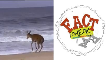 ലോക്ക് ഡൗണില് ബീച്ചില് തത്തിക്കളിക്കുന്ന മാന്; വൈറല് വീഡിയോ ഇന്ത്യയില് നിന്നോ