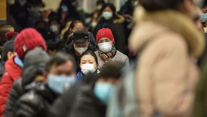 Americans in India decide to stay put in the country as US COVID-19 cases hit 1 million