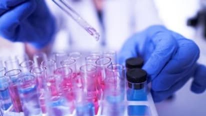 রাজ্য়ে একাধিক করোনা রিপোর্ট 'ফলস' নেগেটিভ, কী বলছেন চিকিৎসকরা