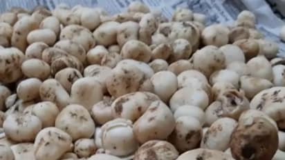 #Invest 50 ಸಾವಿರ, ಲಕ್ಷ ಗಳಿಸಬಹುದಾದ ಈಸಿ ಬ್ಯುಸಿನೆಸ್ ಇದು..