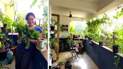 ലോക്ക്ഡൗണ് കാലത്ത് ദീപ്തി പച്ചക്കറിയും പഴങ്ങളും ശേഖരിക്കുന്നത് സ്വന്തം വീട്ടിലെ ബാല്ക്കണിയില് നിന്ന്