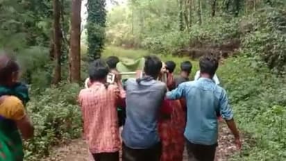 వైద్యం కోసం 15 మీటర్లు డోలిలో: గర్బిణీ క్షేమం, బిడ్డ మృతి