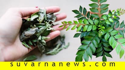 ಊಟದಲ್ಲಿ ಕರಿಬೇವು ಸಿಕ್ಕರೆ ಸೈಡ್ಗೆ ಎತ್ತಿಡುತ್ತೀರಾ? ಹಾಗಾದ್ರೆ ಇದನ್ನೊಮ್ಮೆ ಓದಿ