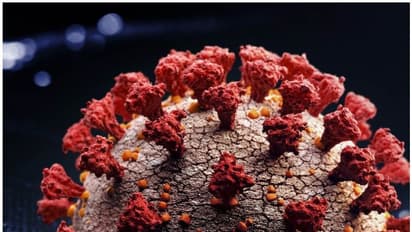 പിഎസ്‍സി പരീക്ഷകളിലും 'കൊറോണ' കടന്നു കൂടാൻ സാധ്യതയുണ്ട്; ഇക്കാര്യങ്ങളൊന്ന് ശ്രദ്ധിച്ചോളൂ...