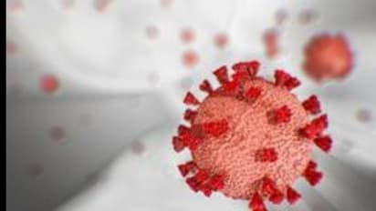 രോഗം ഭേദമായവരുടെ ശ്വാസകോശത്തില്‍ കൊറോണവൈറസ് ഒളിച്ചിരിക്കാമെന്ന് പഠനം