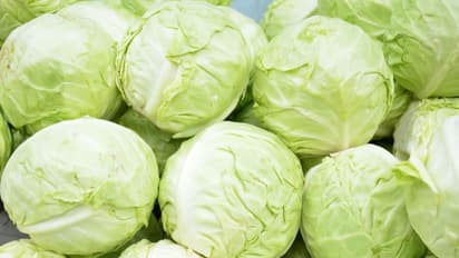 വൃക്കരോഗമുള്ളവർ കഴിക്കേണ്ട മികച്ച അഞ്ച് ഭക്ഷണങ്ങൾ