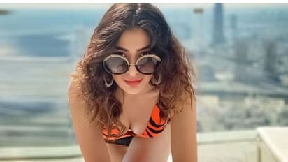  ಸಿನಿಮಾಗಿಂತ Ms Dhoni ಜೊತೆ ಸಂಬಂಧದಿಂದ ಹೆಚ್ಚು ಫೇಮಸ್‌ ಆದ್ರು ಈ ಕನ್ನಡ ನಟಿ