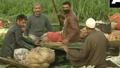 করোনাভাইরাসের সঙ্গে লড়ছে জম্মু কাশ্মীরও, কিন্তু জীবন থেমে নেই ডাল লেকের